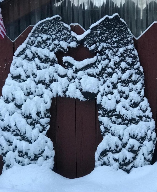 Tahoma Meadows - Sugar Pine Cabin image 27